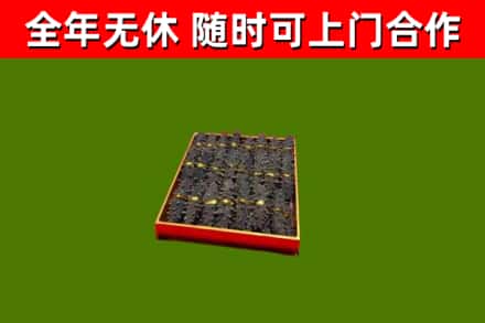 景洪回收海参